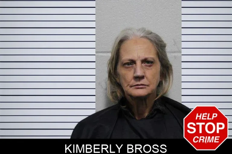 Kimberly Bross mugshot – Habersham County , Georgia Kimberly Bross