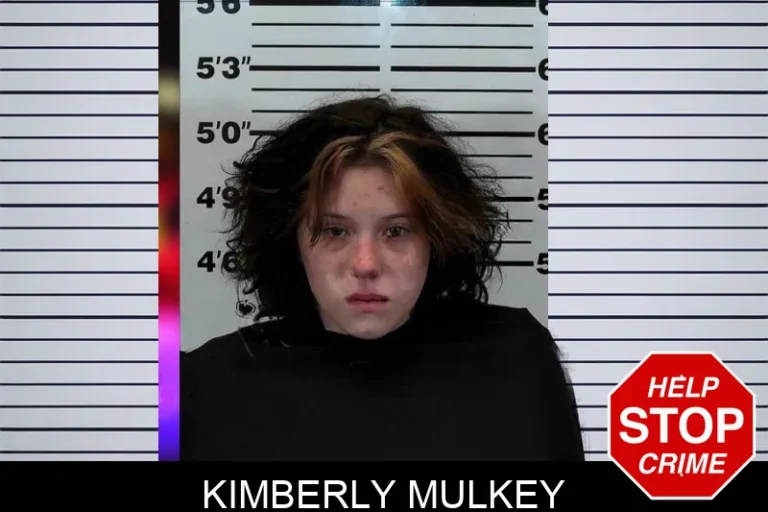 Kimberly Mulkey mugshot – Hart County , Georgia Kimberly Mulkey