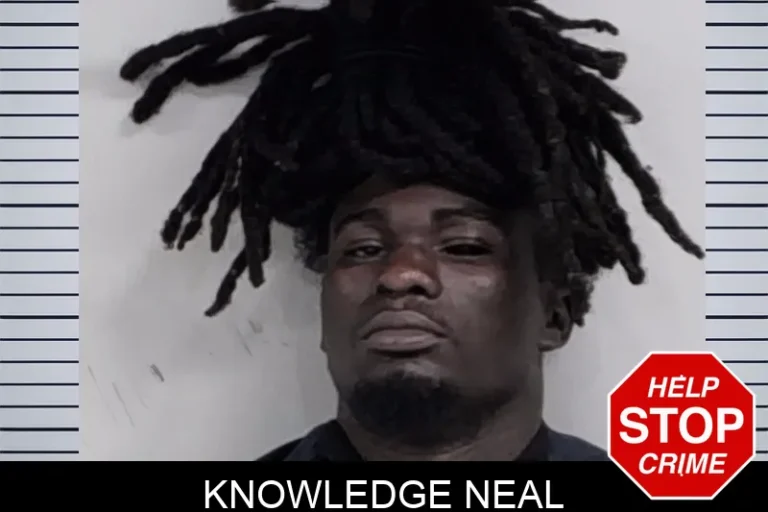 Knowledge Neal