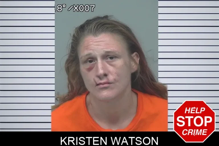 Kristen Watson mugshot – Gwinnett County , Georgia Kristen Watson