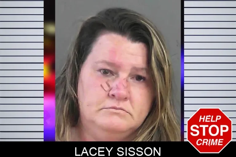 Lacey Sisson