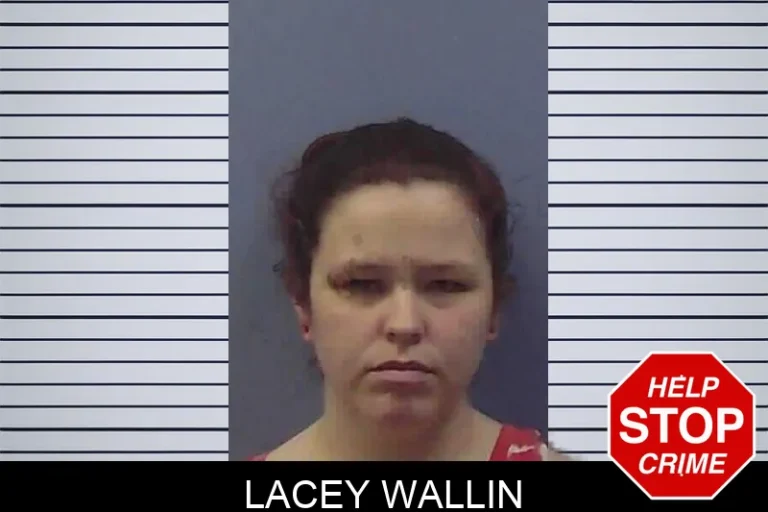 Lacey Wallin