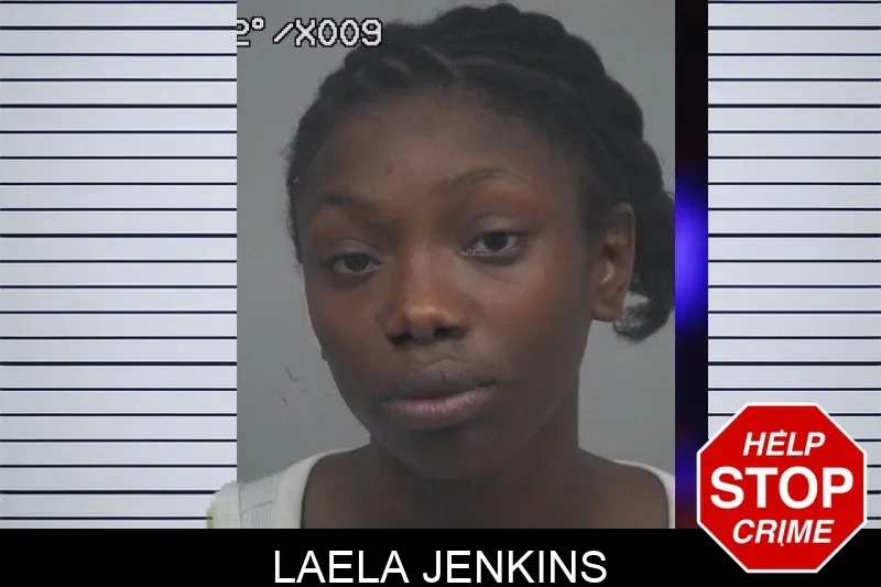 Laela Jenkins mugshot