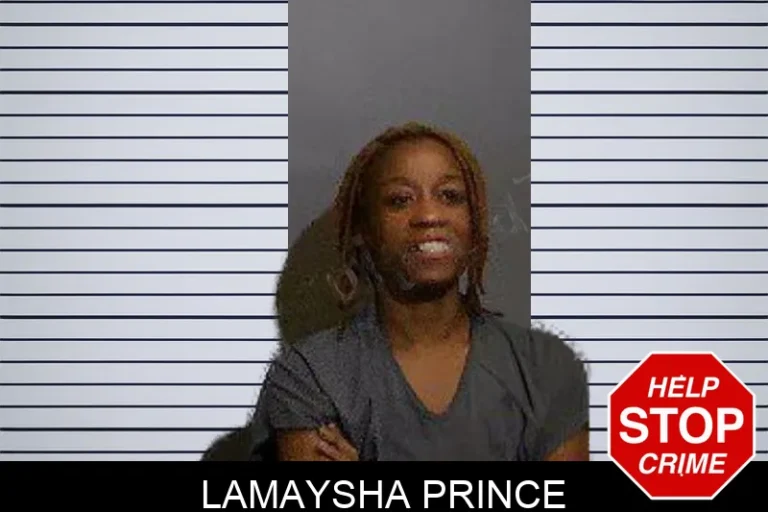 Lamaysha Prince mugshot – Glynn County , Georgia Lamaysha Prince