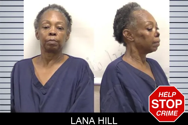 Lana Hill Mugshots