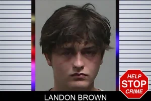 Landon Brown mugshot