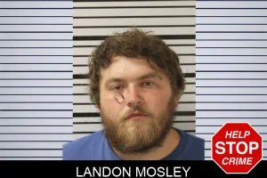 Landon Mosley mugshot