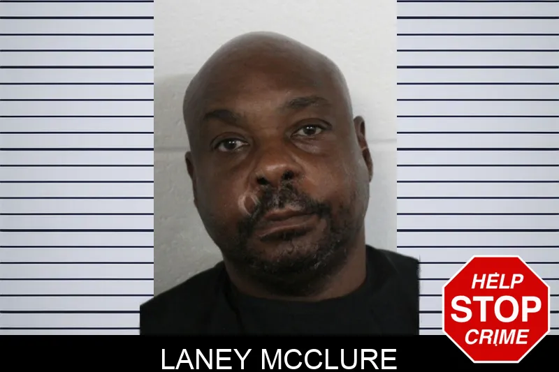 Laney McClure Mugshots