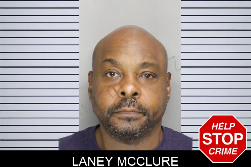 Laney McClure mugshot – Cobb County , Georgia Laney McClure mugshot