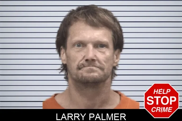 Larry Palmer