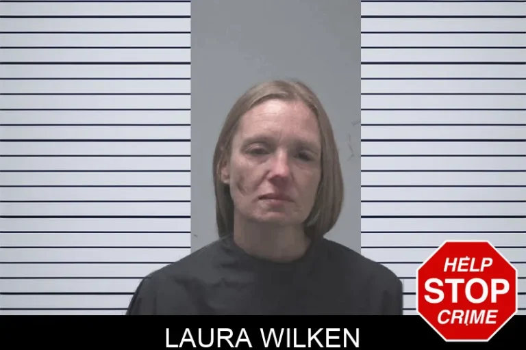 Laura Wilken