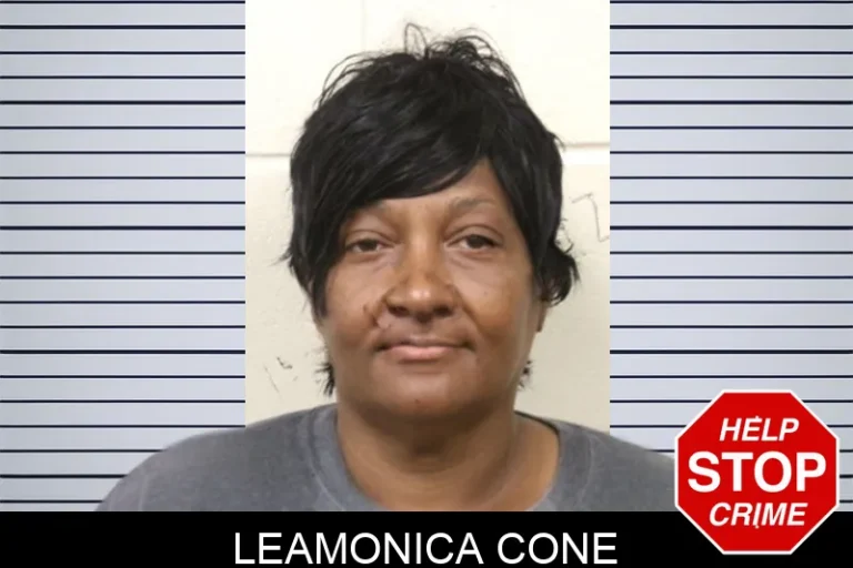Leamonica Cone