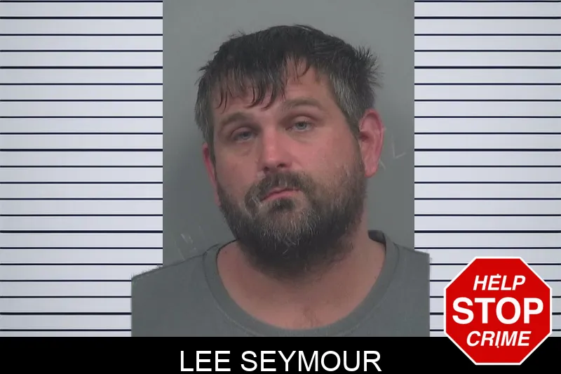 Lee Seymour mugshot – Gwinnett County , Georgia Lee Seymour mugshot
