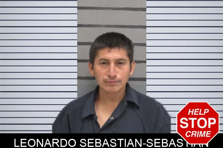 Leonardo Sebastian-Sebastian