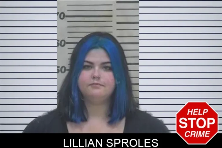 Lillian Sproles mugshot – Coffee County , Georgia Lillian Sproles