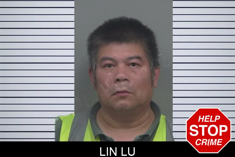 Lin Lu mugshot
