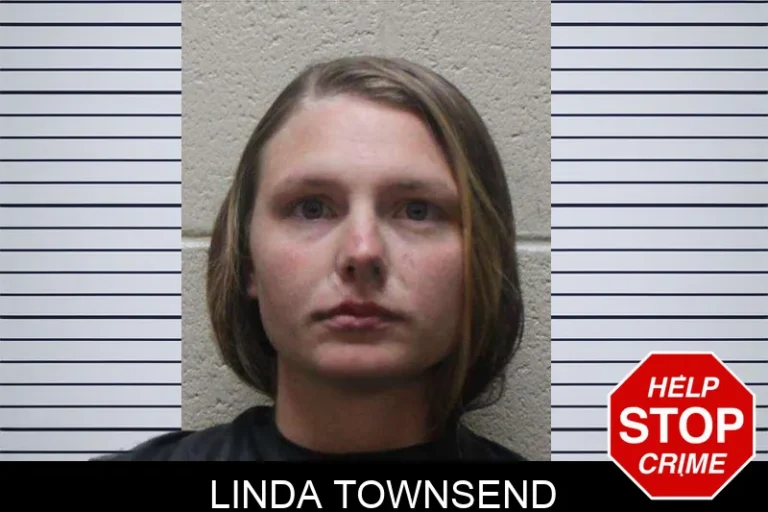 Linda Townsend mugshot – Haralson County , Georgia Linda Townsend