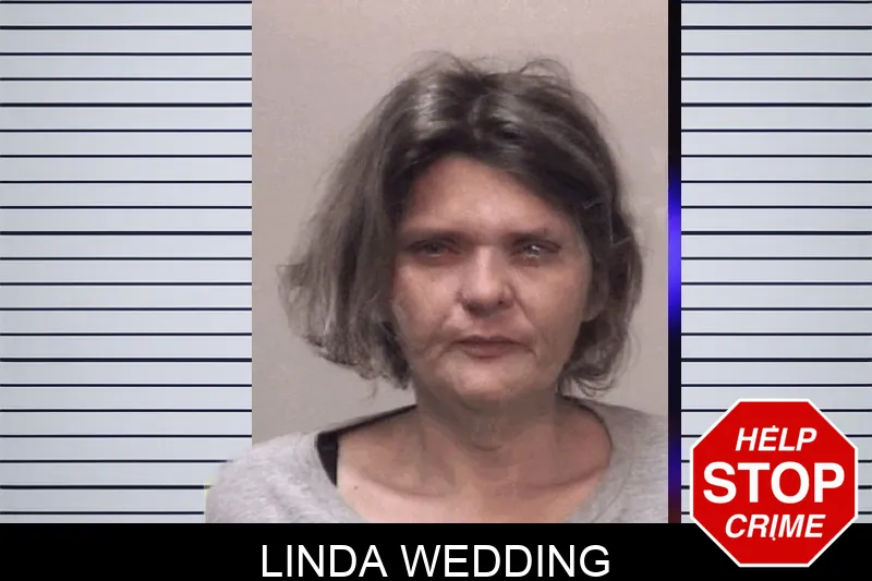 Linda Wedding Mugshots