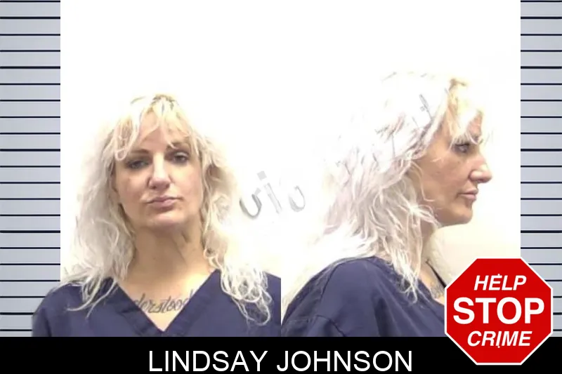 Lindsay Johnson Mugshots
