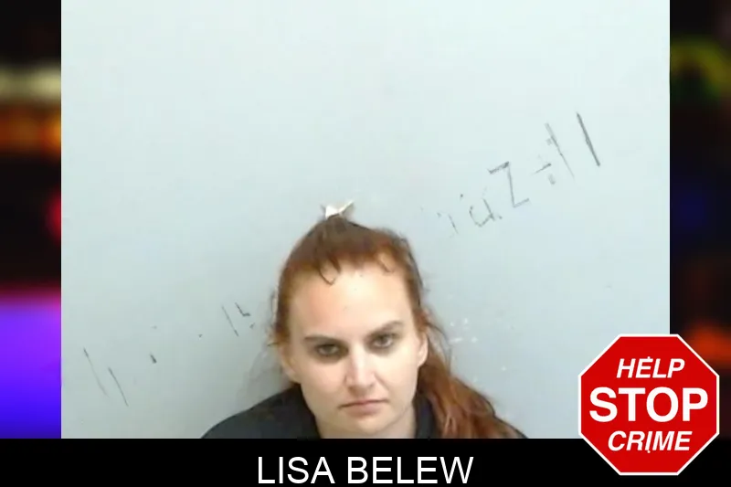 Lisa Belew mugshot – Fulton County , Georgia Lisa Belew mugshot