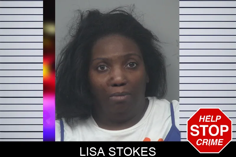 Lisa Stokes Mugshots