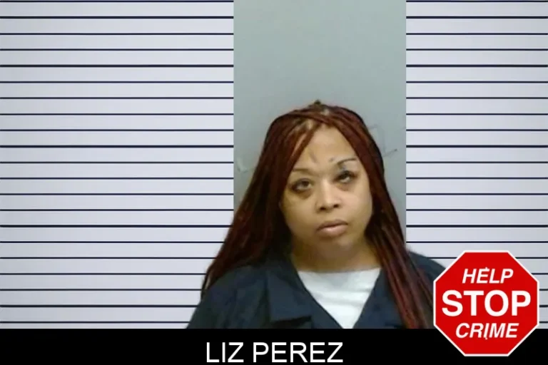 Liz Perez mugshot – Fulton County , Georgia Liz Perez