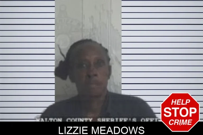 Lizzie Meadows mugshot – Walton County , Georgia Lizzie Meadows