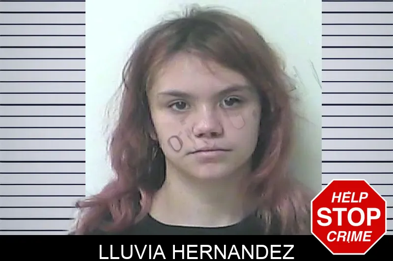 Lluvia Hernandez Mugshots