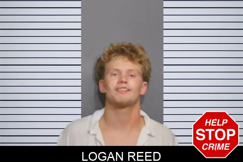 Logan Reed Mugshots
