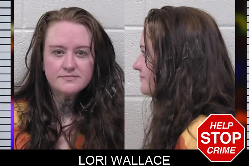 Lori Wallace Mugshots