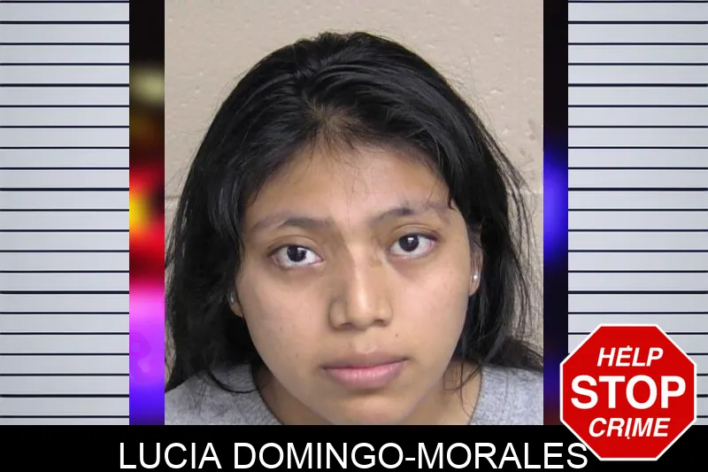 Lucia Domingo-Morales Mugshots