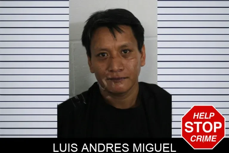 Luis Andres Miguel