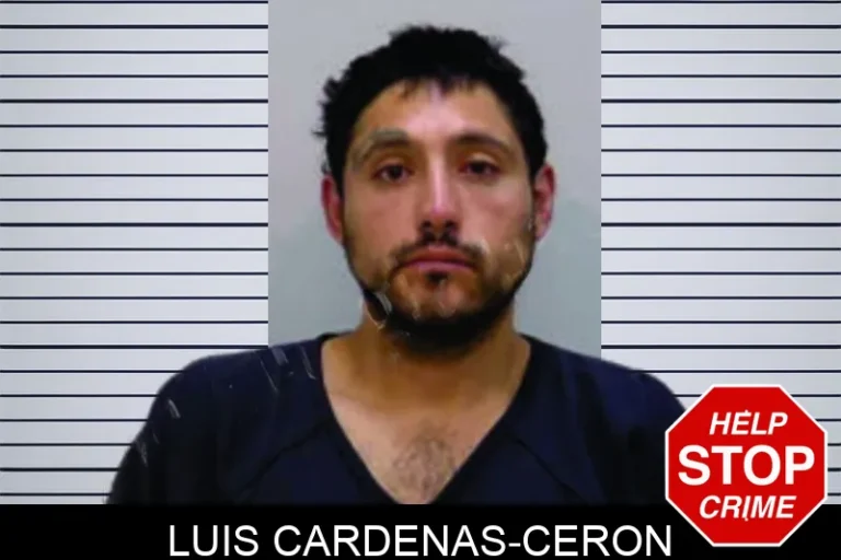 Luis Cardenas-Ceron
