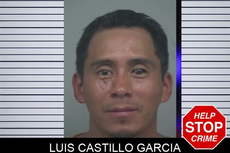 Luis Castillo Garcia