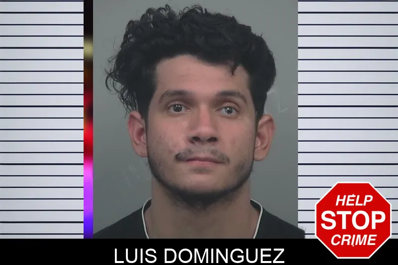 Luis Dominguez mugshot