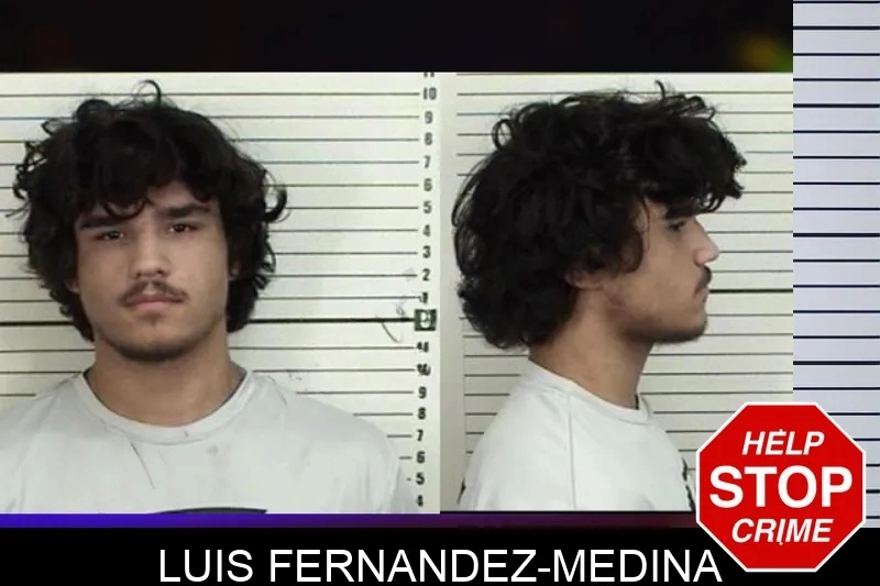 Luis Fernandez-Medina Mugshots