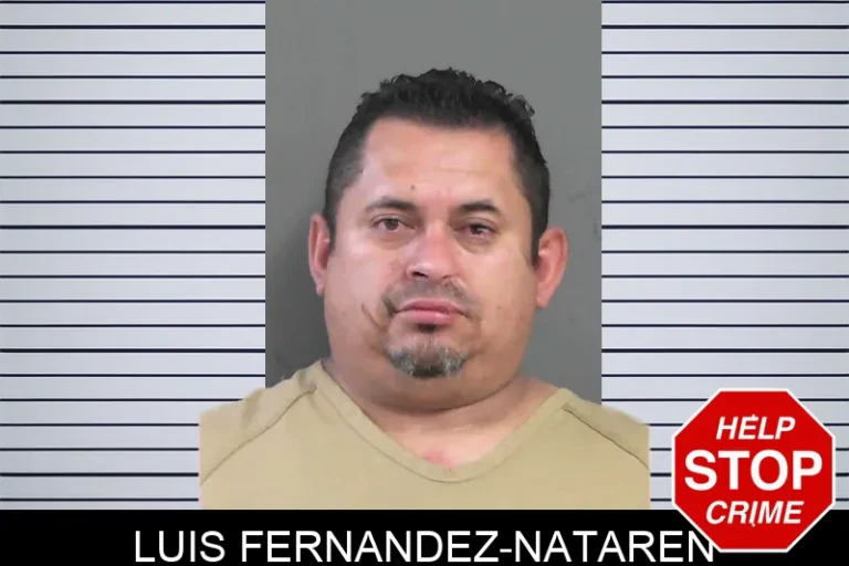 Luis Fernandez-Nataren