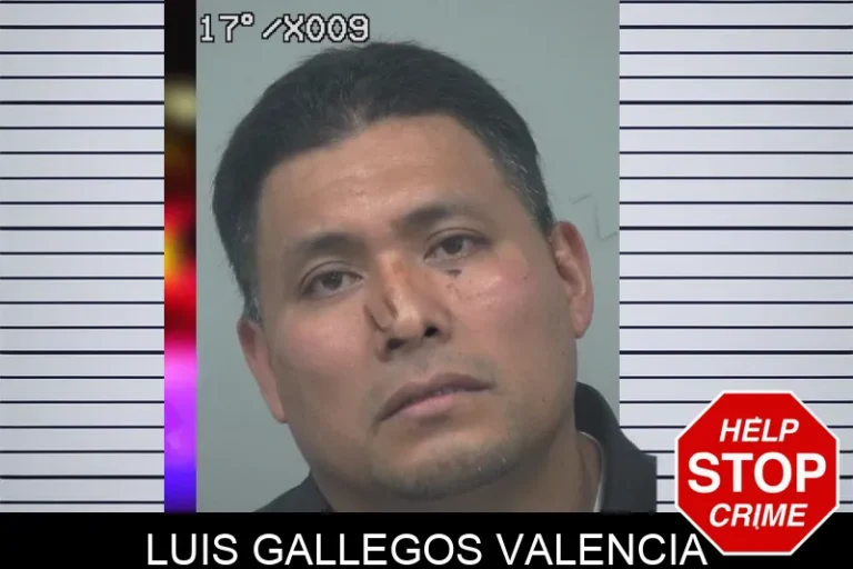 Luis Gallegos Valencia