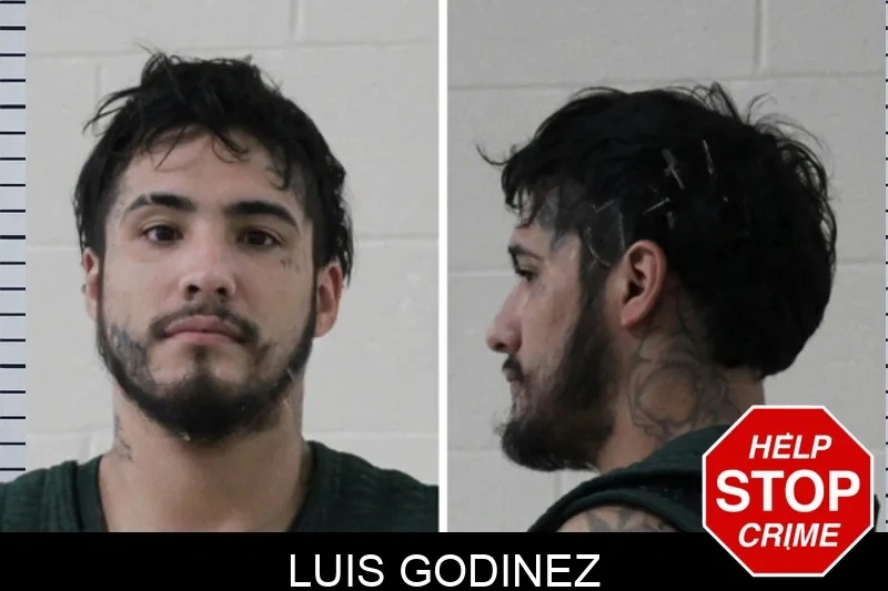 Luis Godinez Mugshots