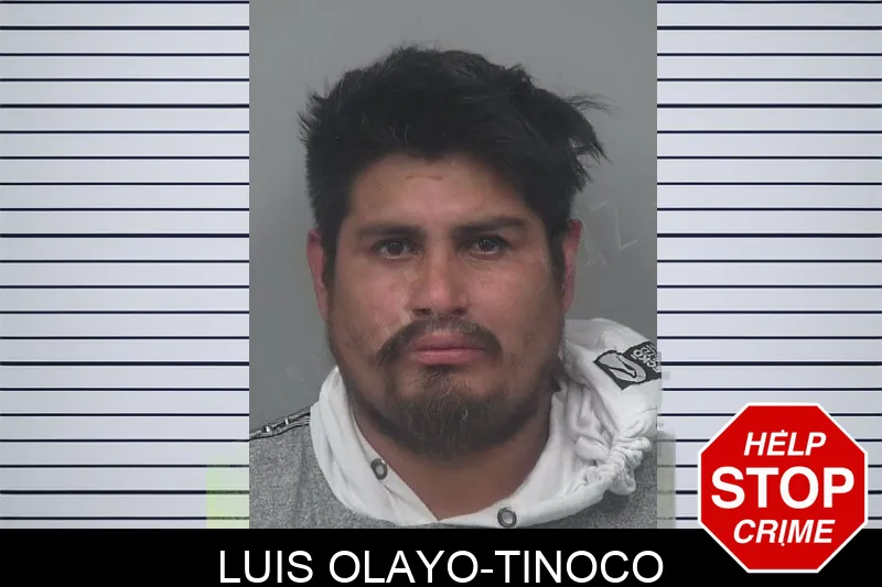 Luis Olayo-Tinoco mugshot
