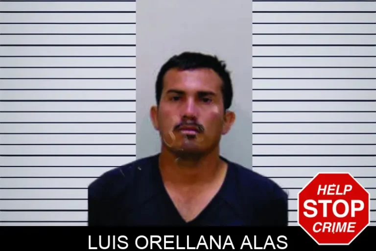Luis Orellana Alas