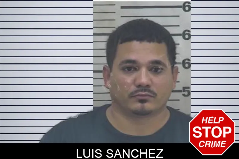 Luis Sanchez Mugshots