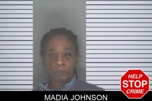 Madia Johnson mugshot