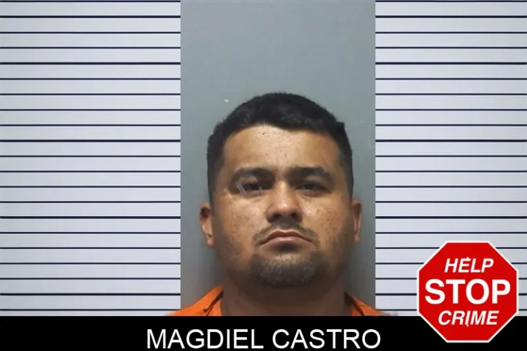 Magdiel Castro mugshot – Cherokee County , Georgia Magdiel Castro