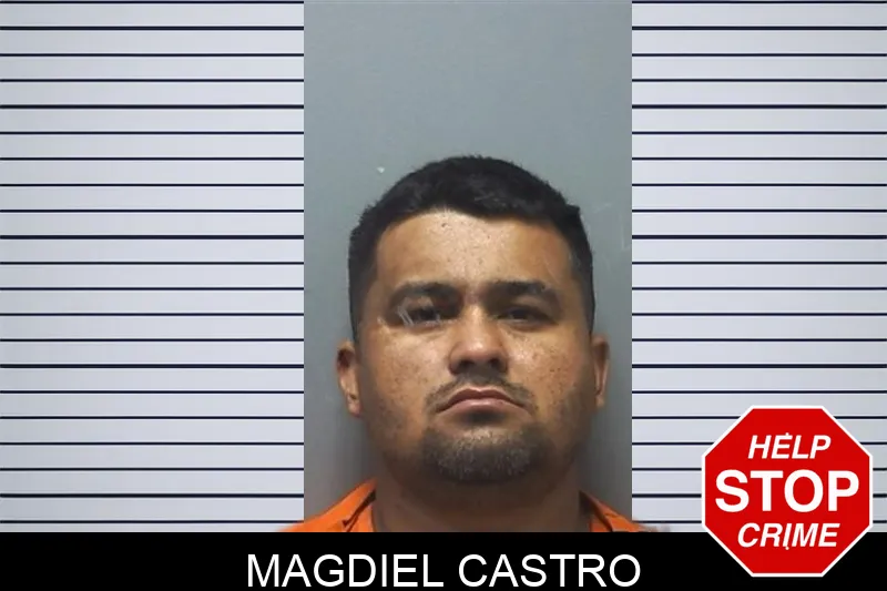 Magdiel Castro Mugshots