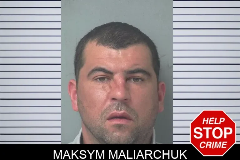 Maksym Maliarchuk mugshot – Gwinnett County , Georgia Maksym Maliarchuk