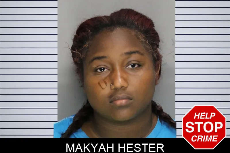 Makyah Hester mugshot – Cobb County , Georgia Makyah Hester mugshot