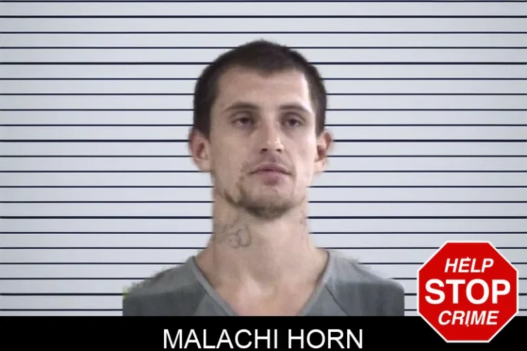 Malachi Horn