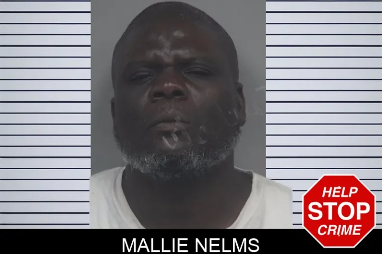 Mallie Nelms mugshot – Gwinnett County , Georgia Mallie Nelms