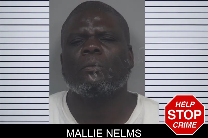 Mallie Nelms mugshot – Gwinnett County , Georgia Mallie Nelms mugshot